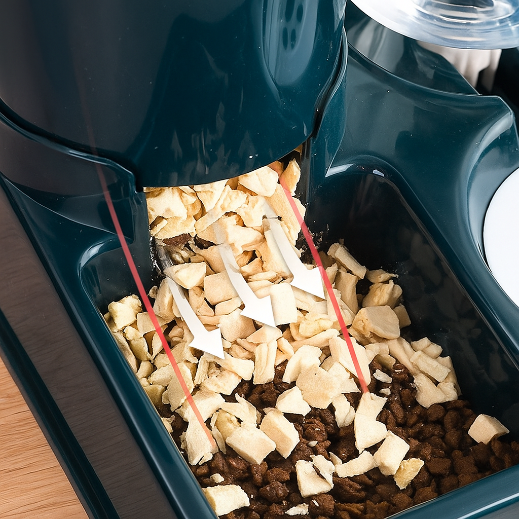 Hunde für Anfänger