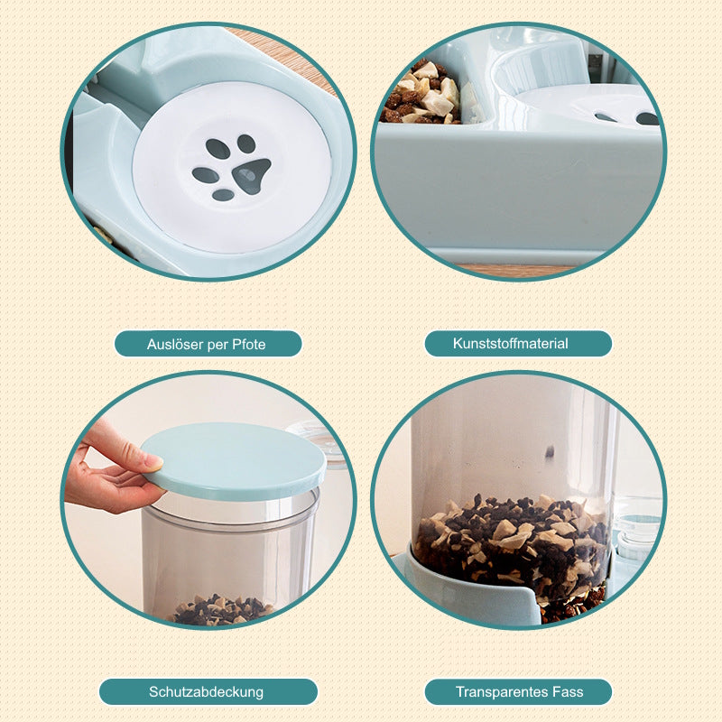 Hunde für Anfänger